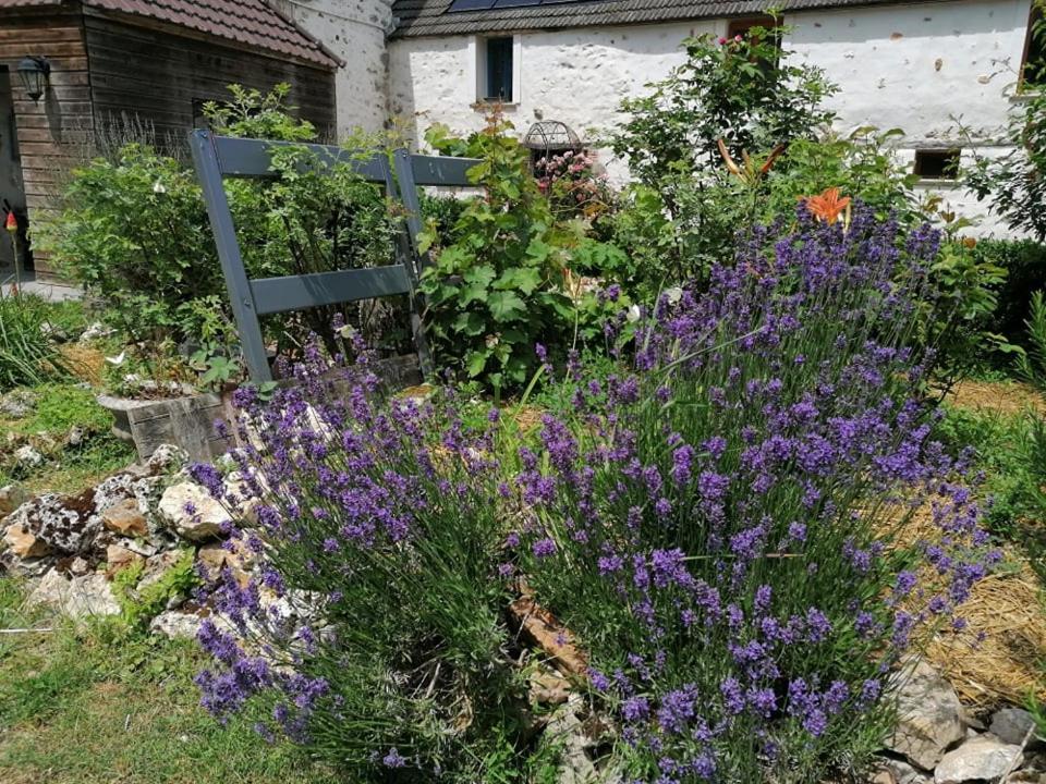 Hotellerie Jardiniers Gourmands Morsains Exterior photo